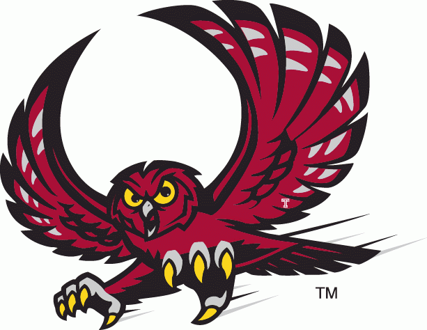 Temple Owls 1996-Pres Alternate Logo v2 iron on transfers for clothing...